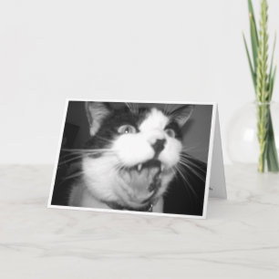 Opera Kat verjaardagskaart Kaart