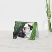 Opera Phantom Cat (Voorkant)