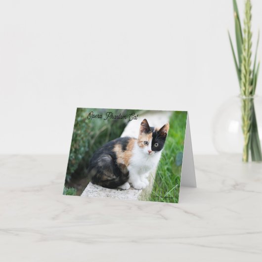 Opera Phantom Cat (Voorkant)