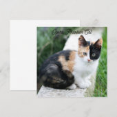 Opera Phantom Cat (Voorkant / Achterkant)