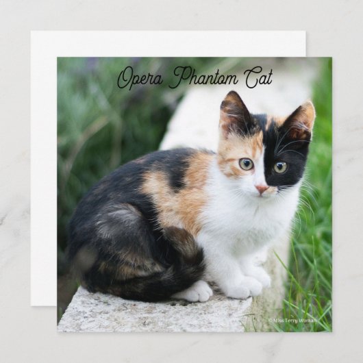 Opera Phantom Cat (Voorkant / Achterkant)