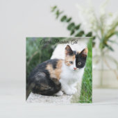 Opera Phantom Cat (Staand voorkant)