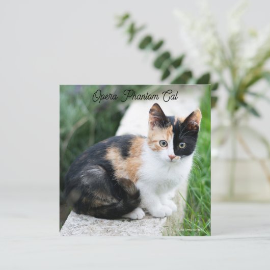 Opera Phantom Cat (Staand voorkant)