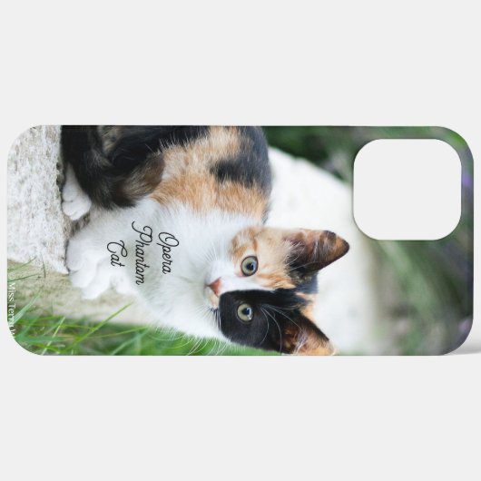 Opera Phantom Cat Case-Mate iPhone Case (Achterkant (horizontaal))