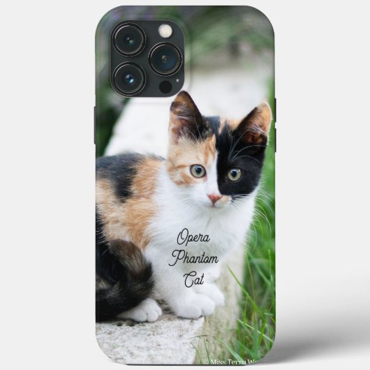 Opera Phantom Cat Case-Mate iPhone Case (Achterkant)