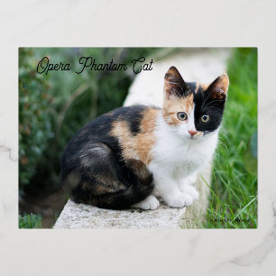 Opera Phantom Cat Folie Feestdagen Briefkaart