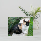 Opera Phantom Cat Folie Feestdagen Briefkaart (Staand Voorkant)