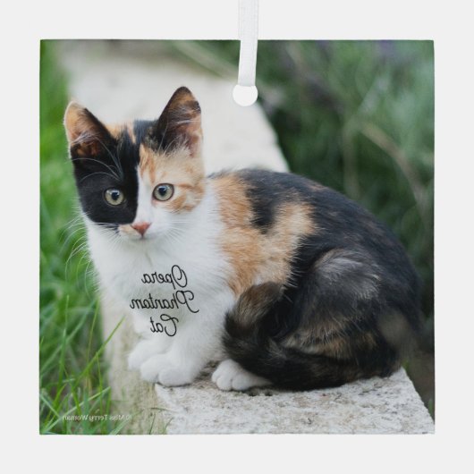 Opera Phantom Cat Glas Ornament (Achterkant)