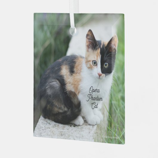Opera Phantom Cat Glas Ornament (Voorkant links)