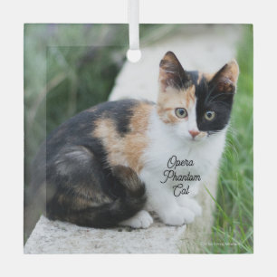 Opera Phantom Cat Glas Ornament