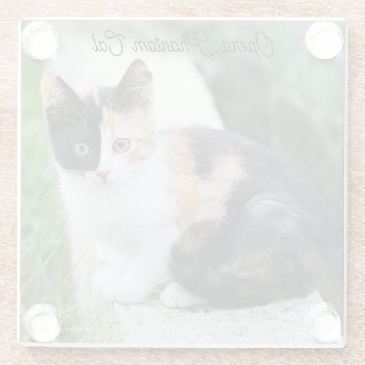 Opera Phantom Cat Glazen Onderzetter (Achterkant)