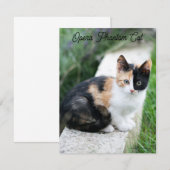 Opera Phantom Cat Informatiekaartje (Voorkant / Achterkant)
