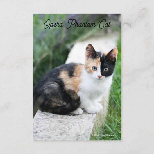 Opera Phantom Cat Informatiekaartje (Voorkant)