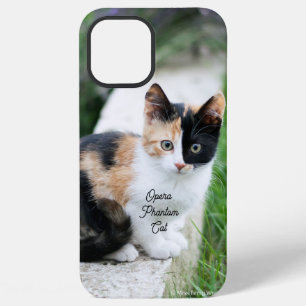 Opera Phantom Cat iPhone 12 Pro Max Hoesje