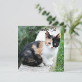 Opera Phantom Cat Kaart (Staand voorkant)