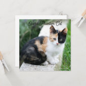 Opera Phantom Cat Kaart (Voorkant / Achterkant in situ)