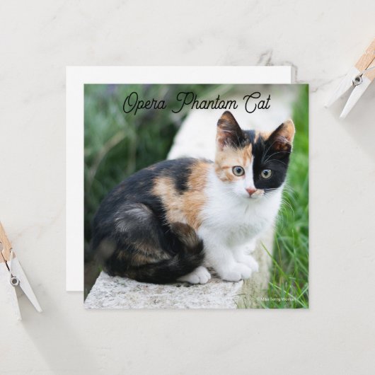Opera Phantom Cat Kaart (Voorkant / Achterkant in situ)