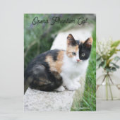 Opera Phantom Cat Kaart (Staand voorkant)