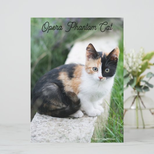 Opera Phantom Cat Kaart (Staand voorkant)