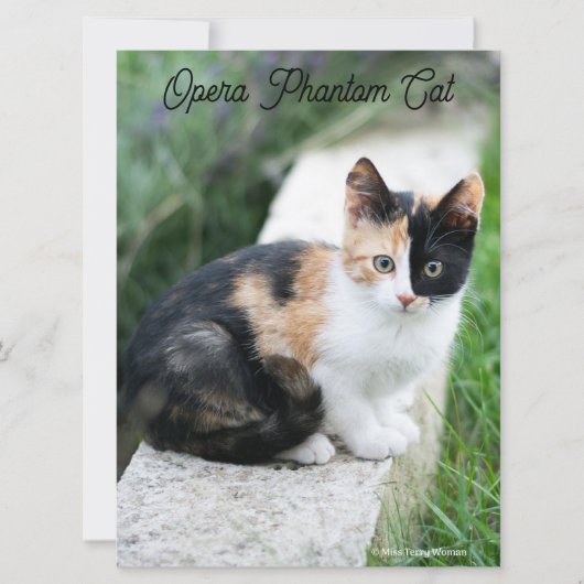 Opera Phantom Cat Kaart (Voorkant)