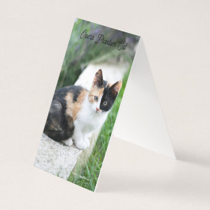 Opera Phantom Cat Kaart