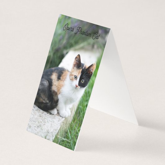 Opera Phantom Cat Kaart (Achterkant)