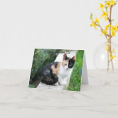 Opera Phantom Cat Kaart (Gele Bloem)