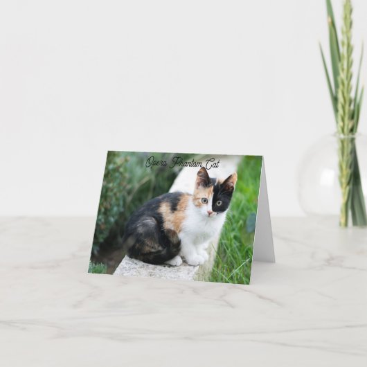 Opera Phantom Cat Kaart (Voorkant)