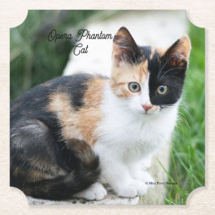 Opera Phantom Cat Kartonnen Onderzetters