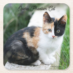 Opera Phantom Cat Kartonnen Onderzetters
