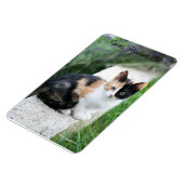 Opera Phantom Cat Magneet (Linkerzijde)