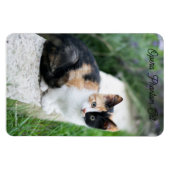 Opera Phantom Cat Magneet (Horizontaal)