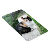 Opera Phantom Cat Magneet (Rechterzijde)