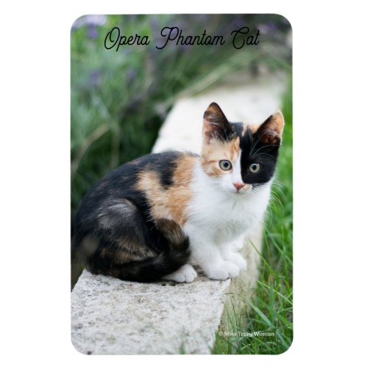 Opera Phantom Cat Magneet (Verticaal)