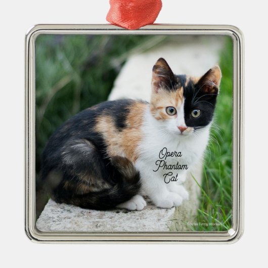 Opera Phantom Cat Metalen Ornament (Voorkant)