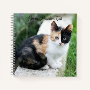 Opera Phantom Cat Notitieboek