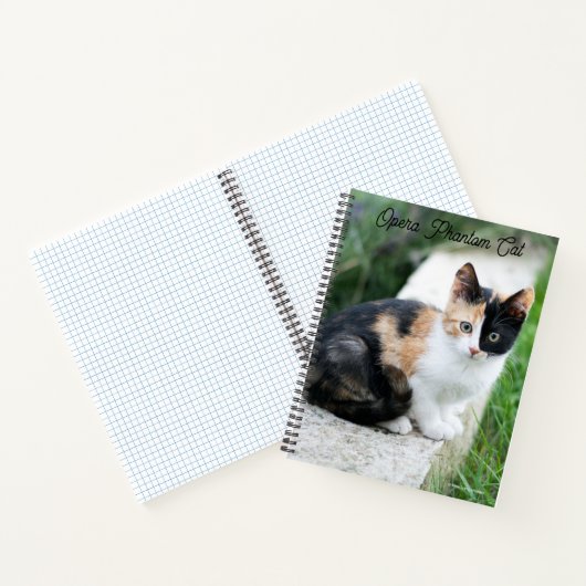 Opera Phantom Cat Notitieboek (Binnen)