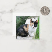 Opera Phantom Cat Notitiekaartje (Voorkant / Achterkant in situ)