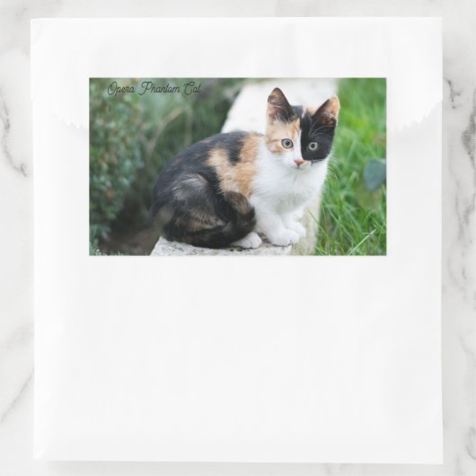 Opera Phantom Cat Rechthoekige Sticker (Tas)
