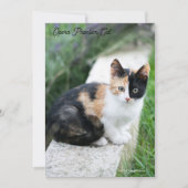 Opera Phantom Cat Save The Date (Voorkant)