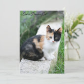 Opera Phantom Cat Save The Date (Staand voorkant)