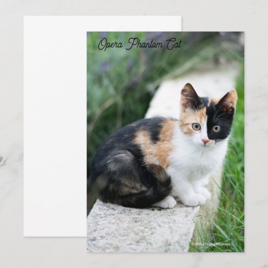 Opera Phantom Cat Save The Date (Voorkant / Achterkant)