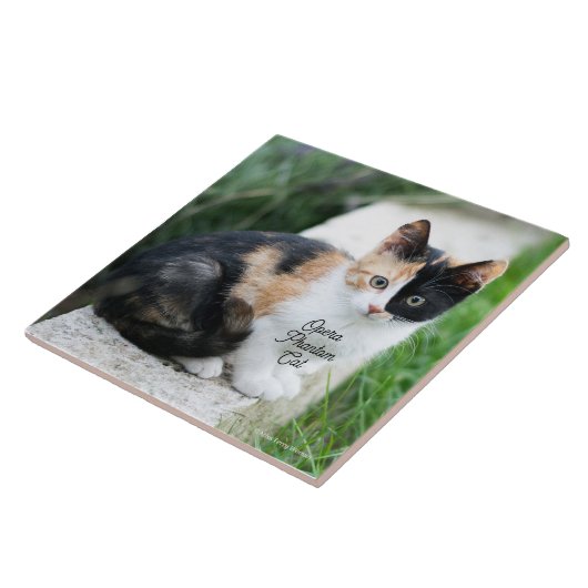 Opera Phantom Cat Tegeltje (Zijkant)