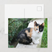 Opera Phantom Cat Uitnodiging Briefkaart (Voorkant / Achterkant)