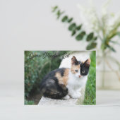 Opera Phantom Cat Uitnodiging Briefkaart (Staand voorkant)