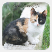 Opera Phantom Cat Vierkante Sticker (Voorkant)