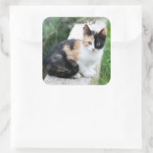 Opera Phantom Cat Vierkante Sticker (Tas)