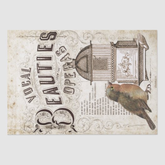 Opera Song Muziek Robin Vogelkooi Decoupage Tissuepapier (Voorkant)