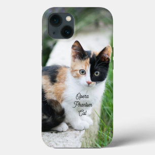 Operafantoomkat Case-Mate iPhone Case