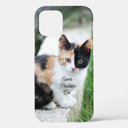 Operafantoomkat Case-Mate iPhone Case (Achterkant)